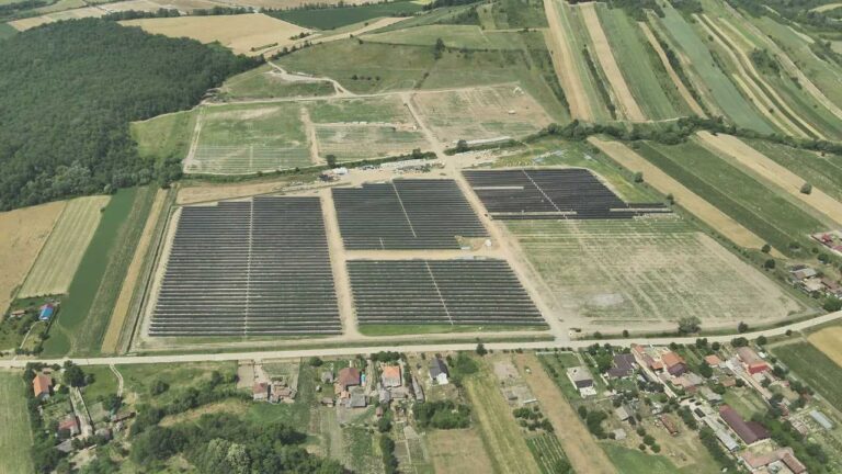 YEO Teknoloji’den Dünyaya 2.5 Milyon Ağaç Kadar Nefes